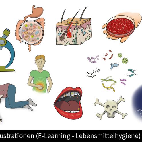 Illustration E-Learning Lebensmittel-Hygiene-Schulung 1